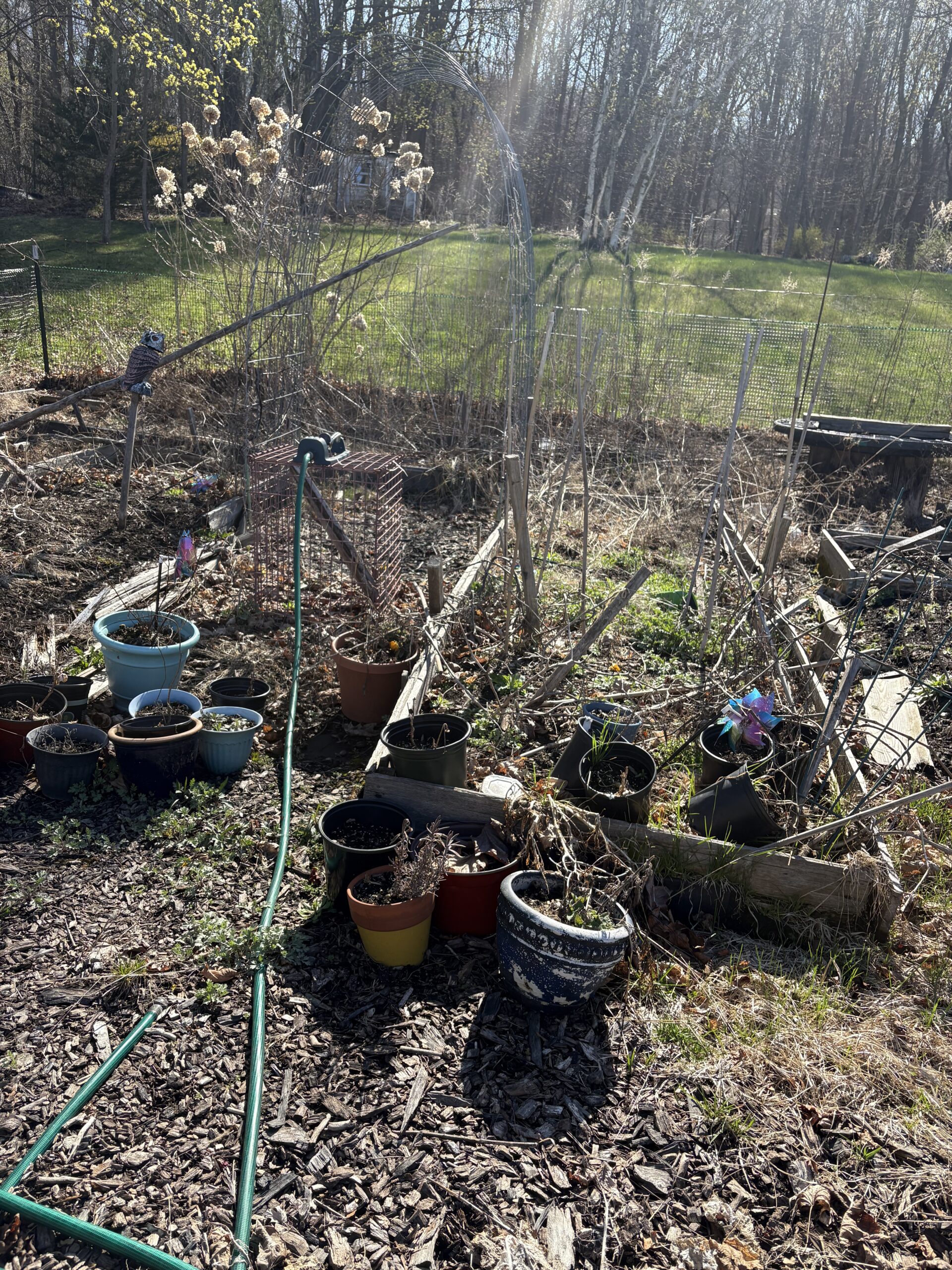 Reclaiming My Secret Garden: Lessons from a April Reflection on Failure